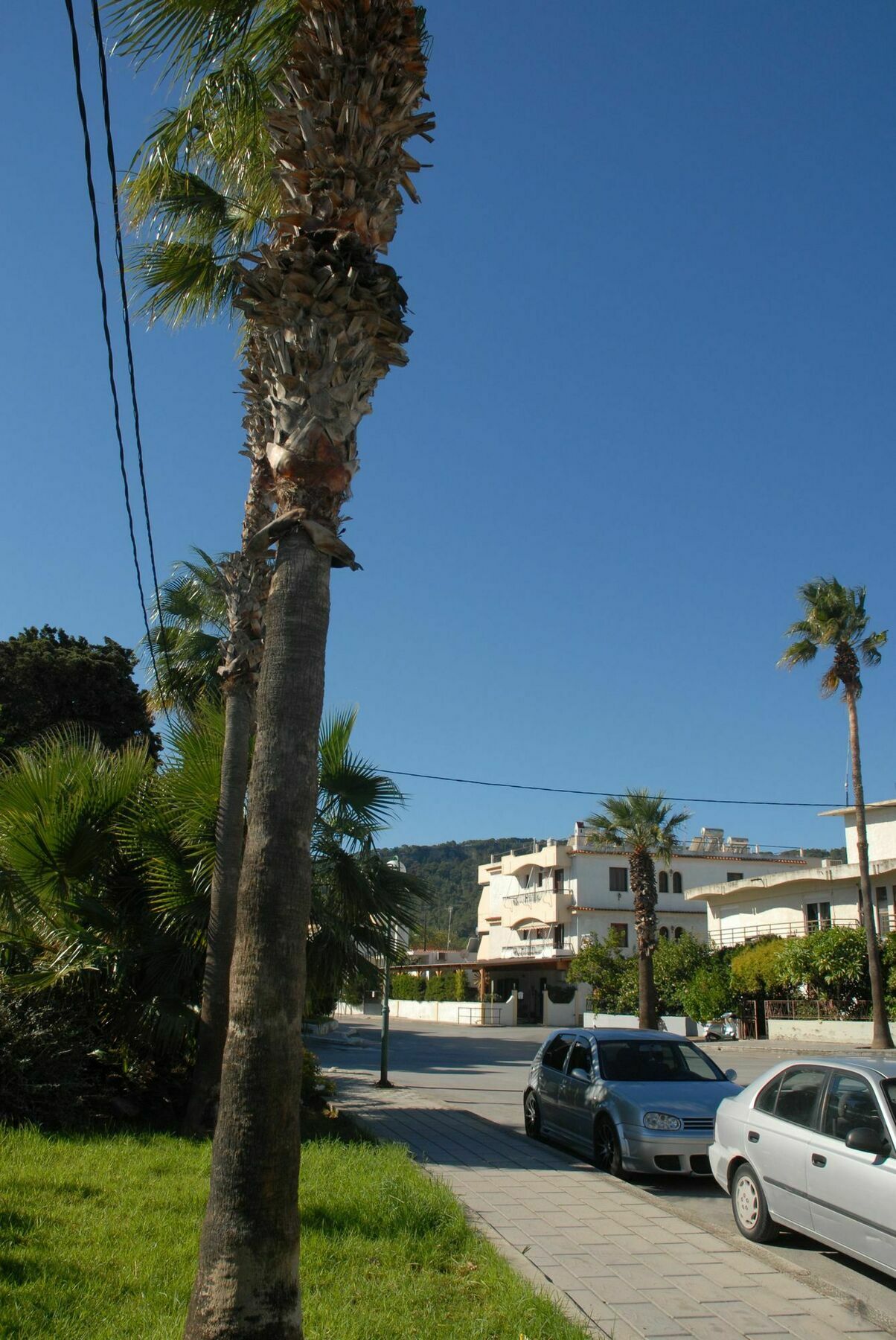 Takis Hotel Apartments Ialysos  Buitenkant foto